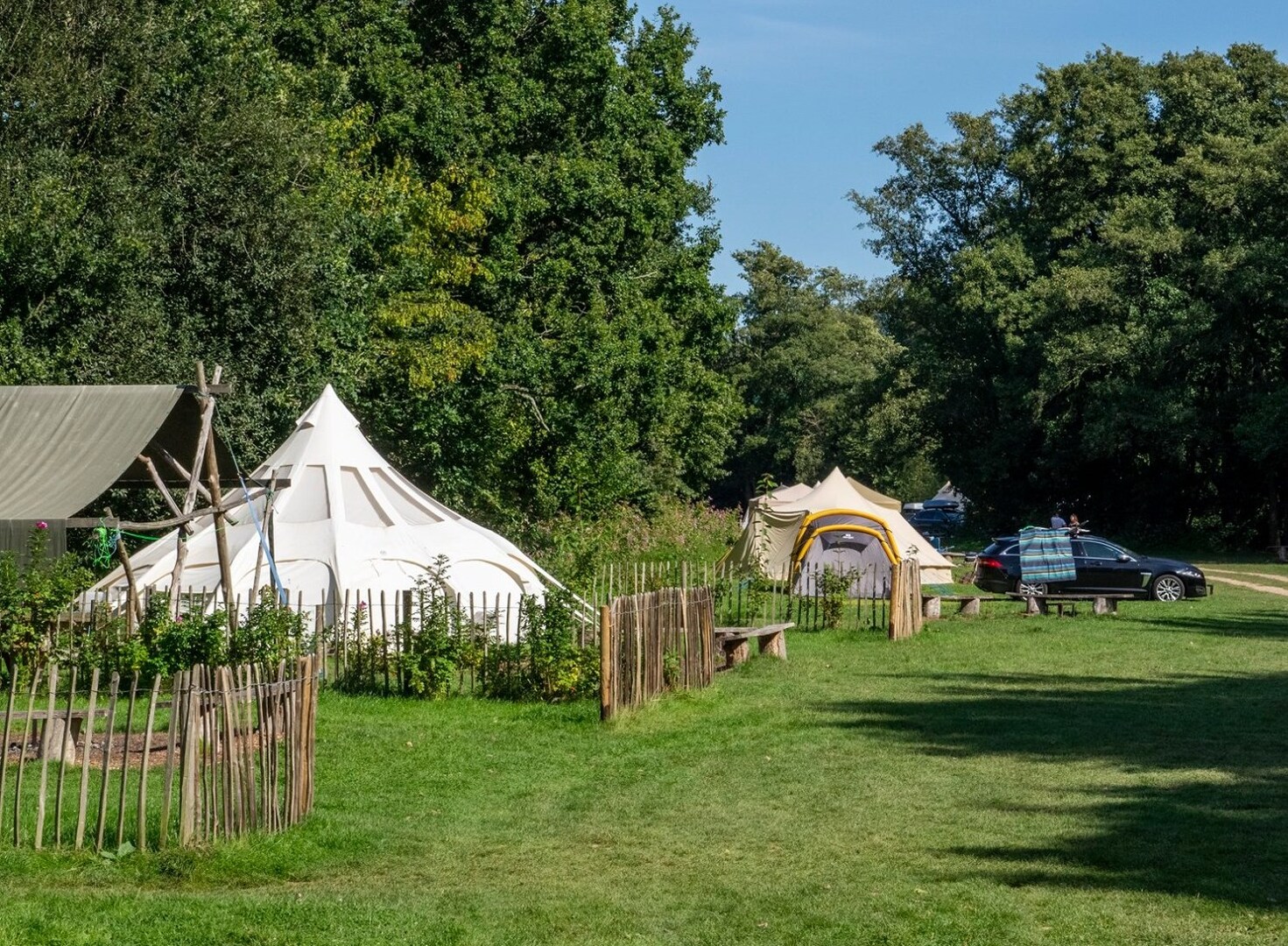 Campsite with tents and cars.