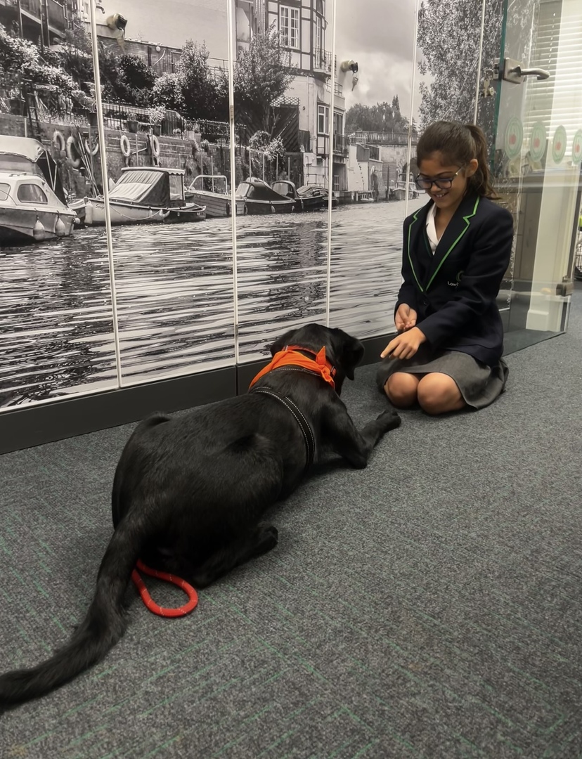 a girl kneeling next to a black dog with a red leash
